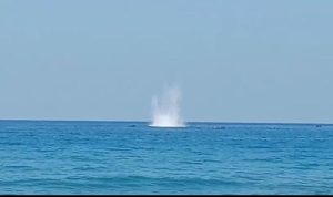 IMG-20260909-WA0005