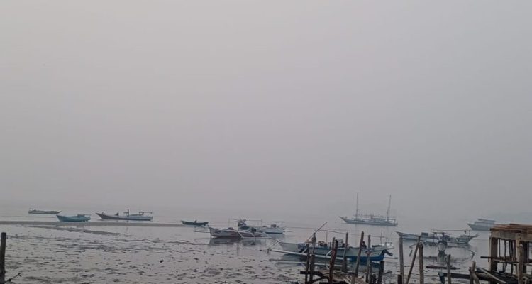 IMG-20261014-WA0016